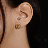 Faceted Stardust Earrings - booneealus