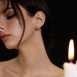 Faceted Stardust Earrings - booneealus