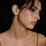 Faceted Stardust Earrings - booneealus