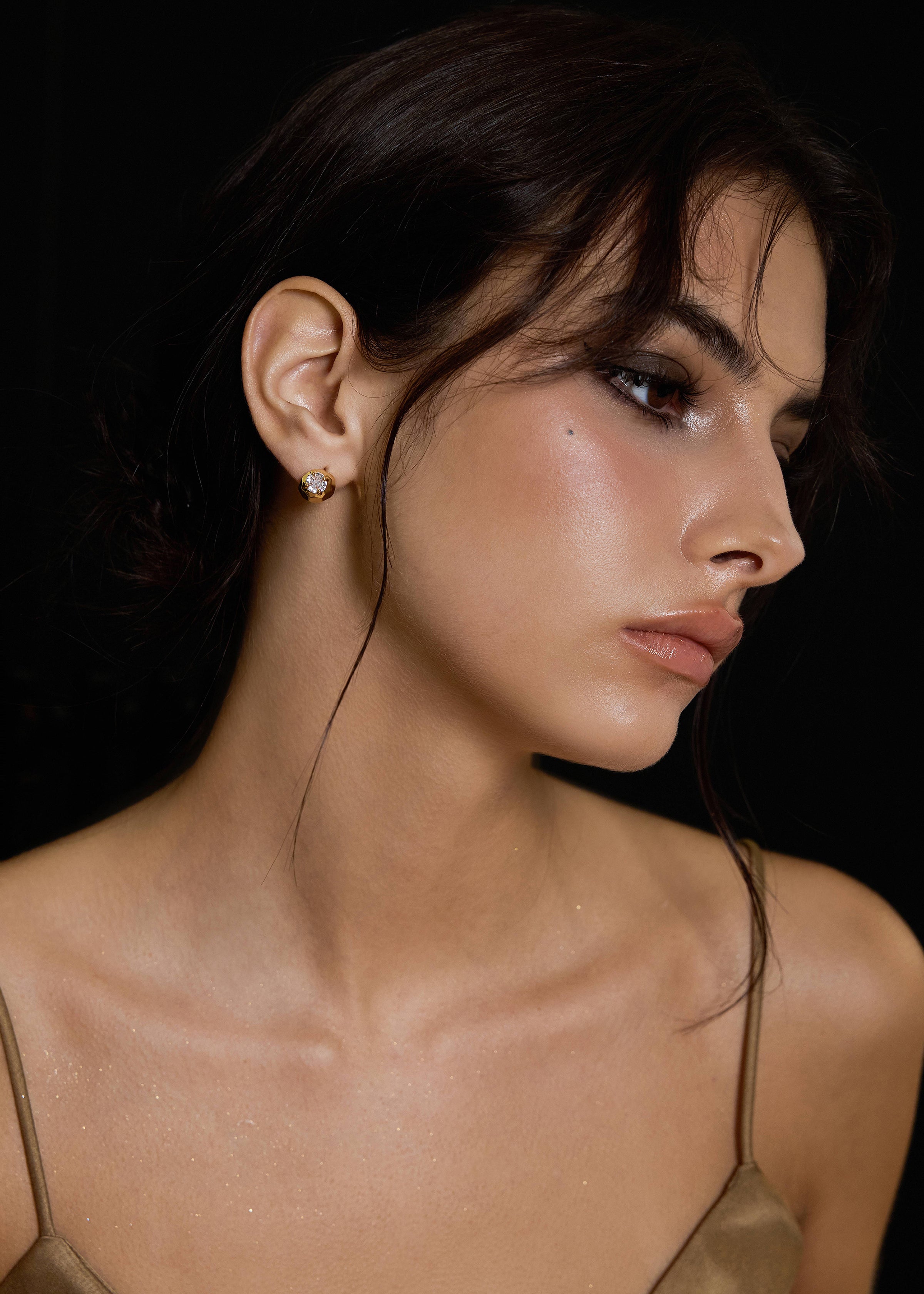 Faceted Stardust Earrings - booneealus