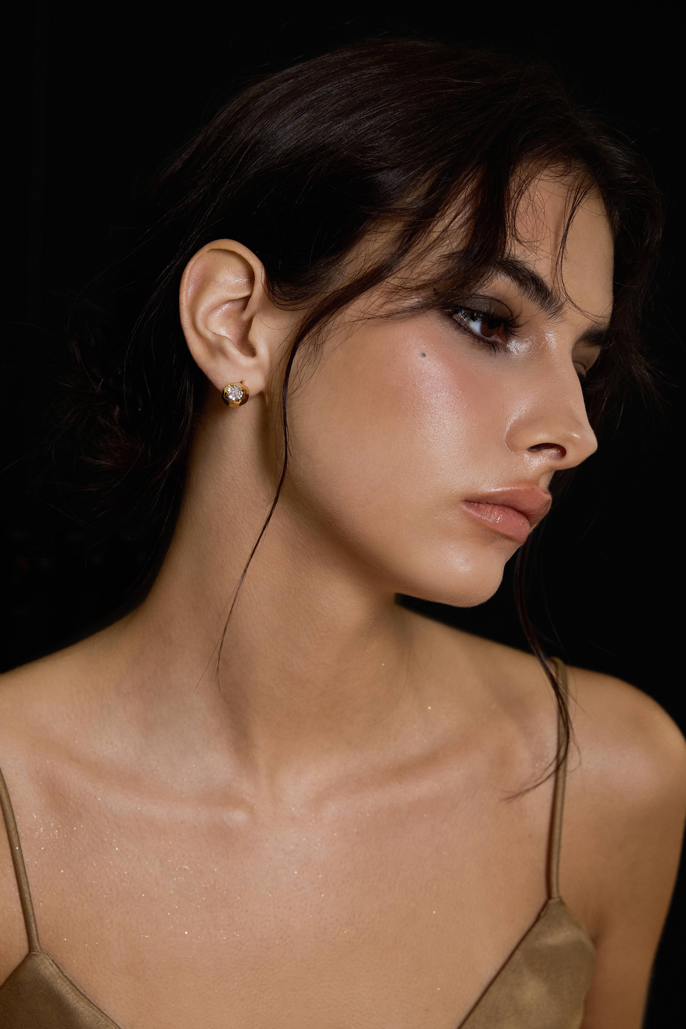 Faceted Stardust Earrings - booneealus