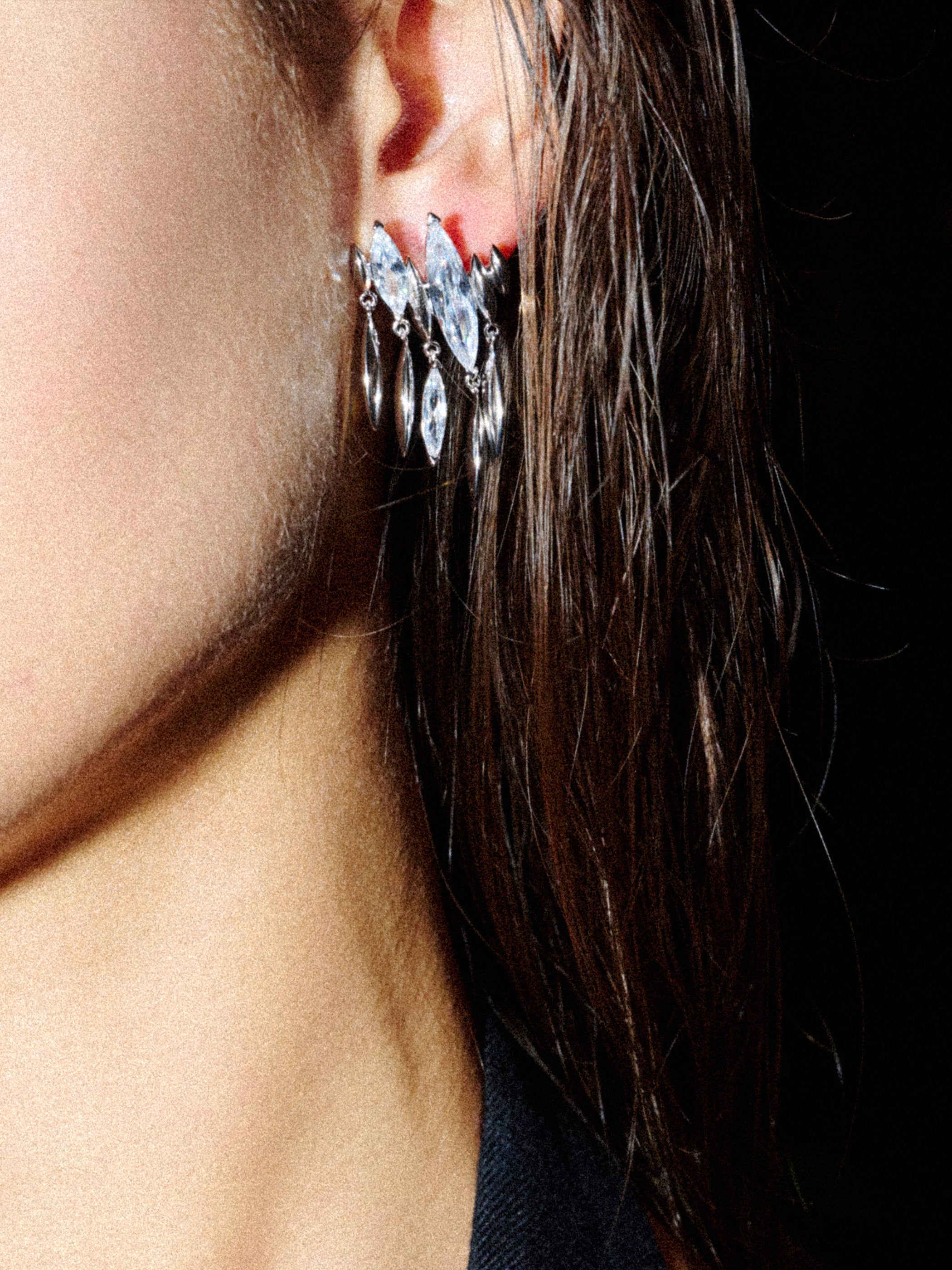 Zirconia Tassel Earrings - booneealus