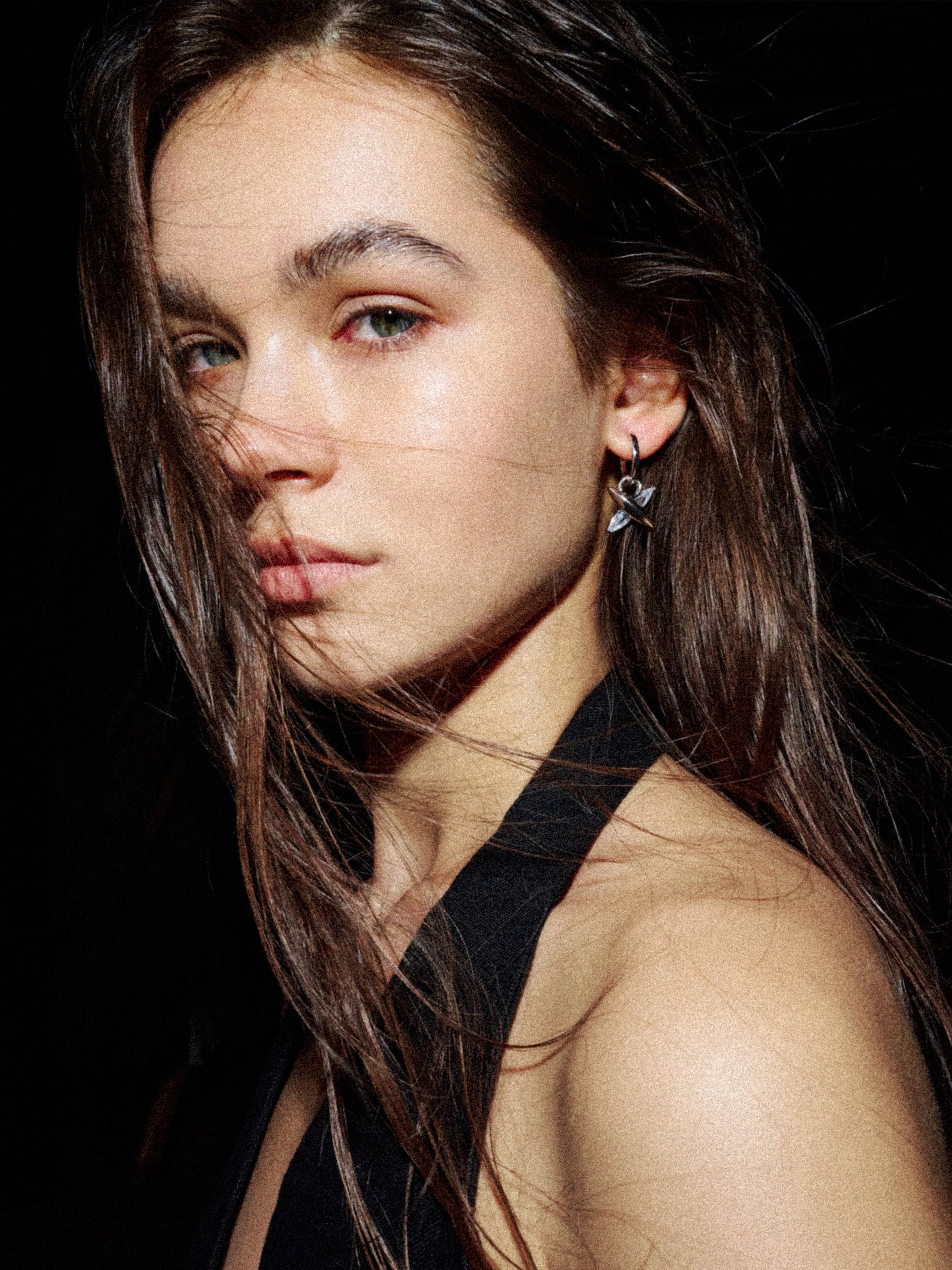 Horse Eye Zirconia Earrings - booneealus