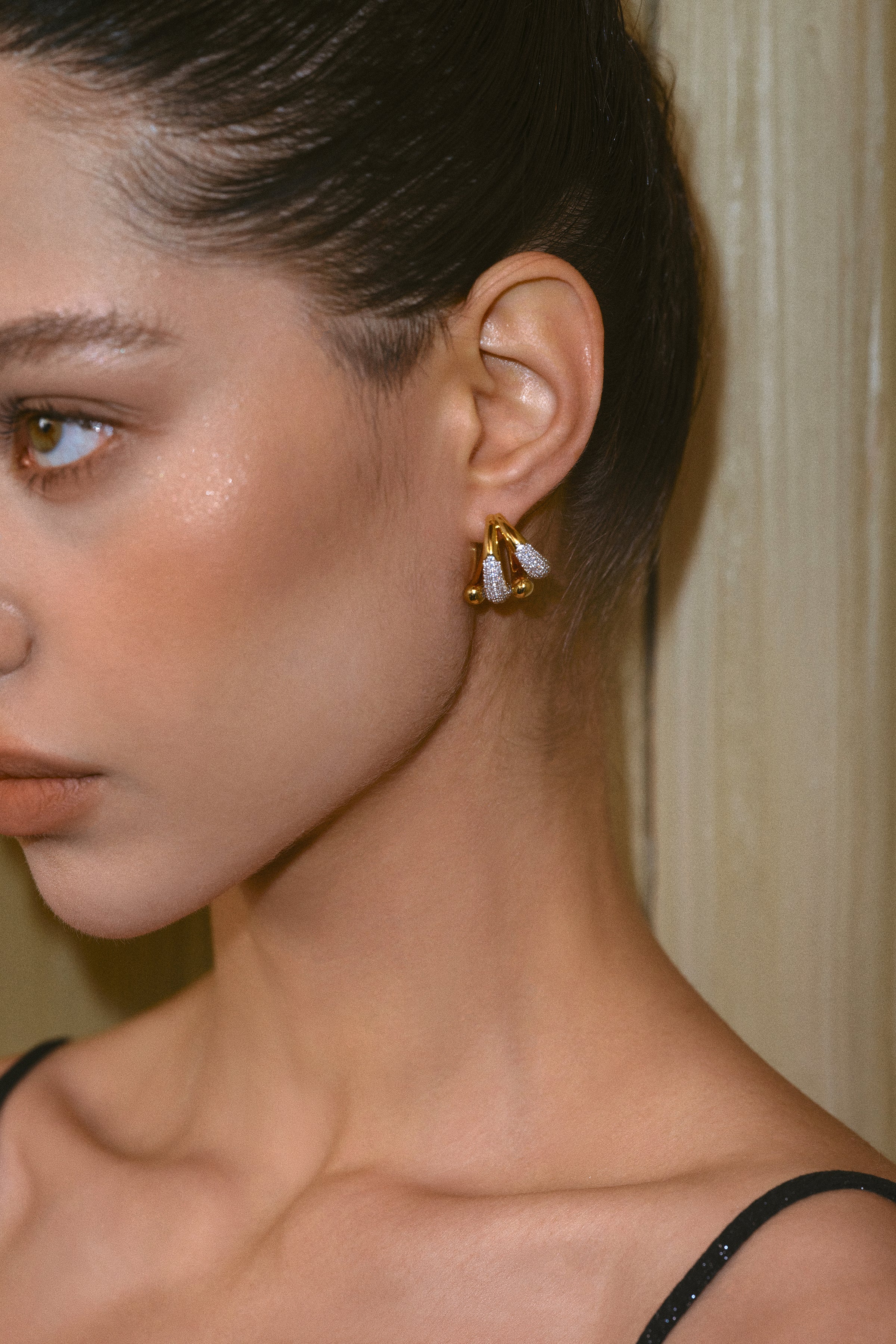 Celestial Duet Hoops Earrings - booneealus